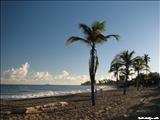 Ocean Park - SAN JUAN